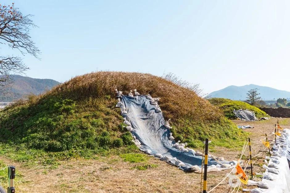 경주_경주 금척리 고분군 (5)