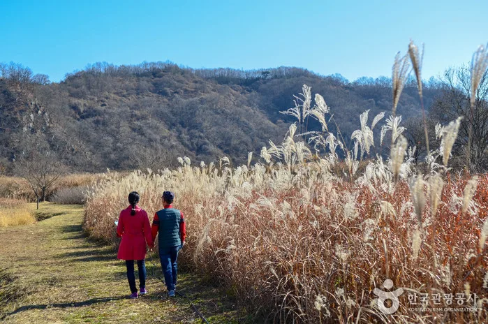 경계의 삶과 자연을 만나다_경기 연천_무장애(1)