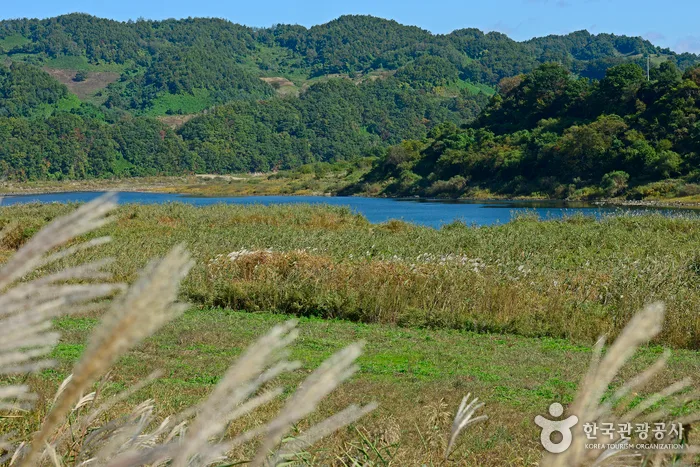 생태관광기사형DB_경기_연천_생명을 품은 땅, 연천에서 보낸 행복한 가을날28