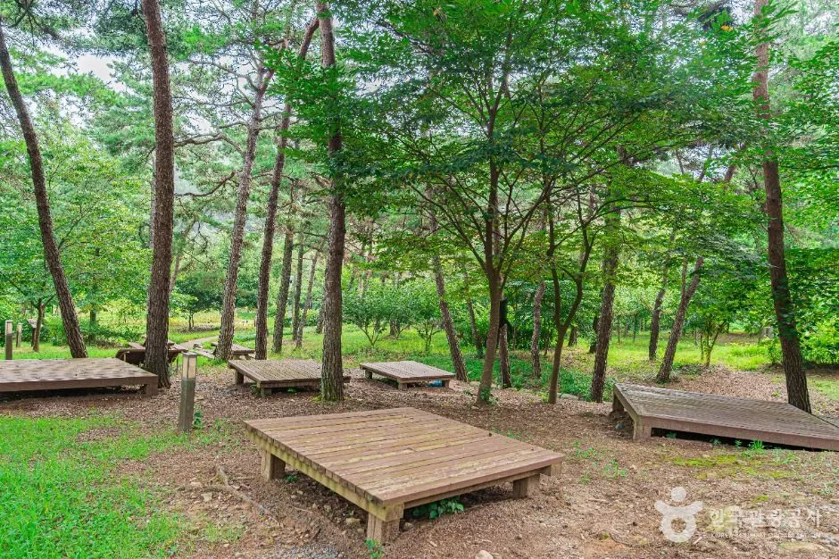 나주_금성산생태숲 (2)