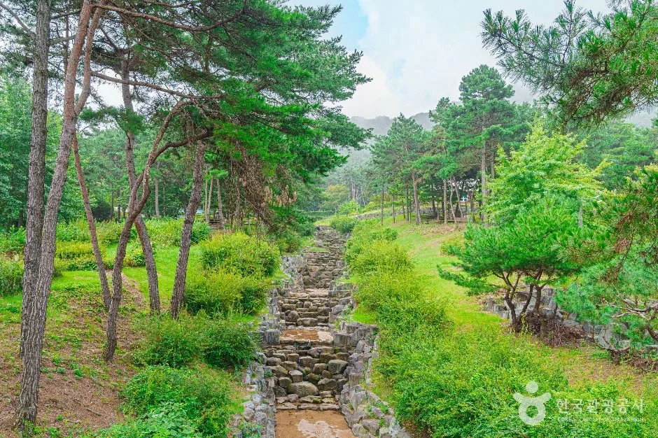 나주_금성산생태숲 (4)