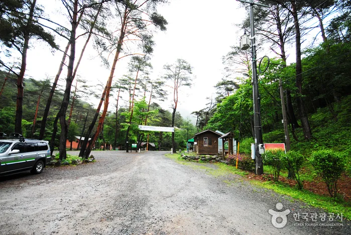 밝고 청정한 영양의 산천을 찾아서