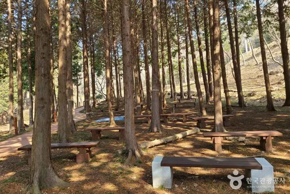 운림산림욕장 (4)