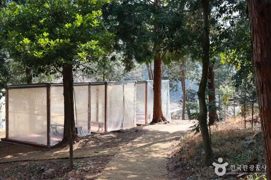 운림산림욕장 (5)