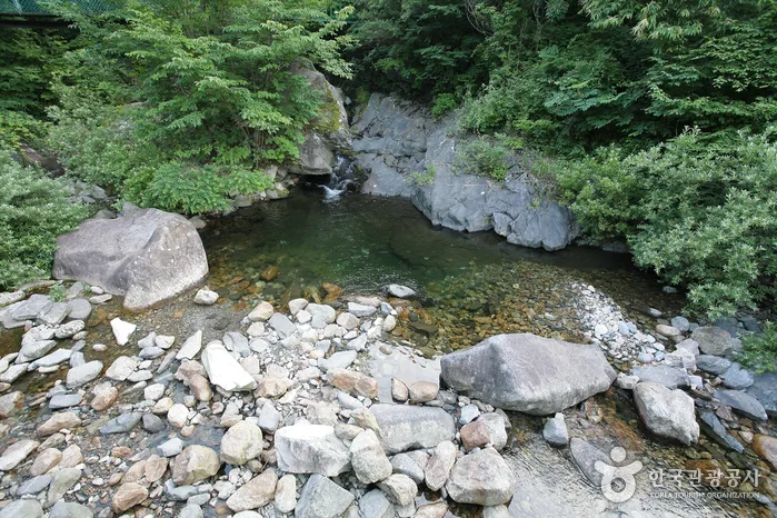 함양_국립지리산자연휴양림 (11).jpg