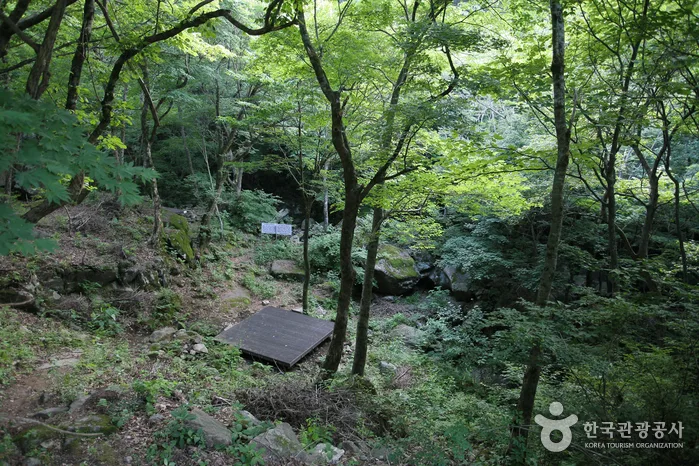 함양_국립지리산자연휴양림 (10).jpg