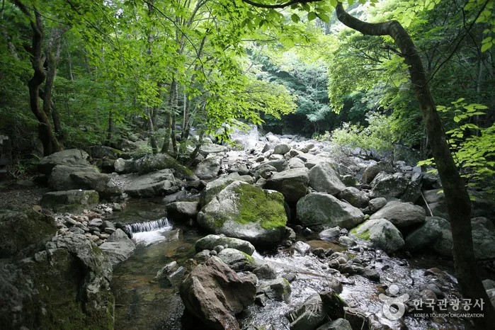 함양_국립지리산자연휴양림 (13).jpg