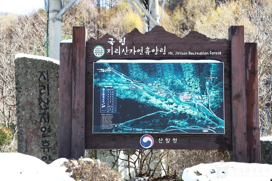 함양_국립지리산자연휴양림 (4).jpg