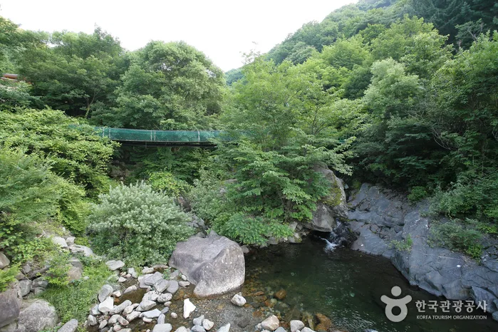 함양_국립지리산자연휴양림 (2).jpg