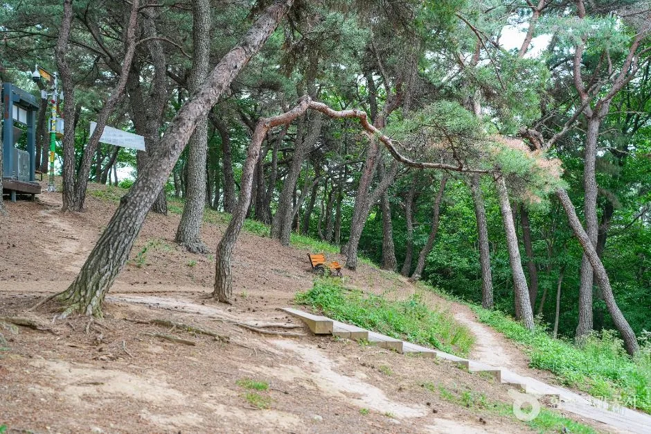 울산_장무공원 (5)