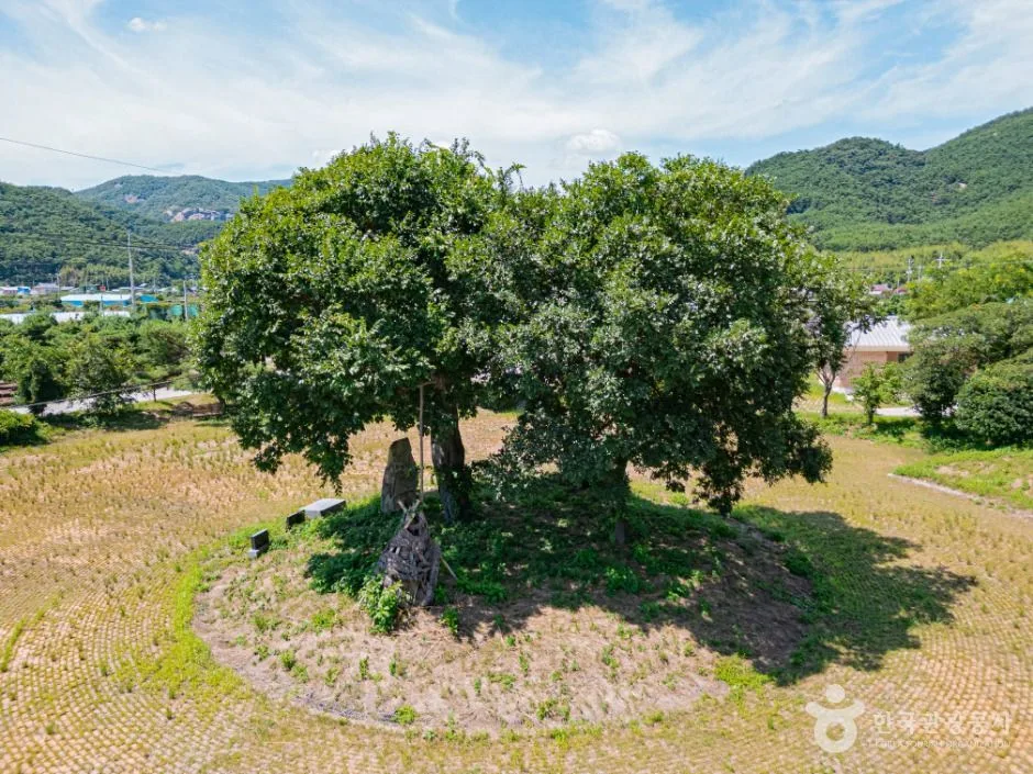 부안_우동리당산 (4)