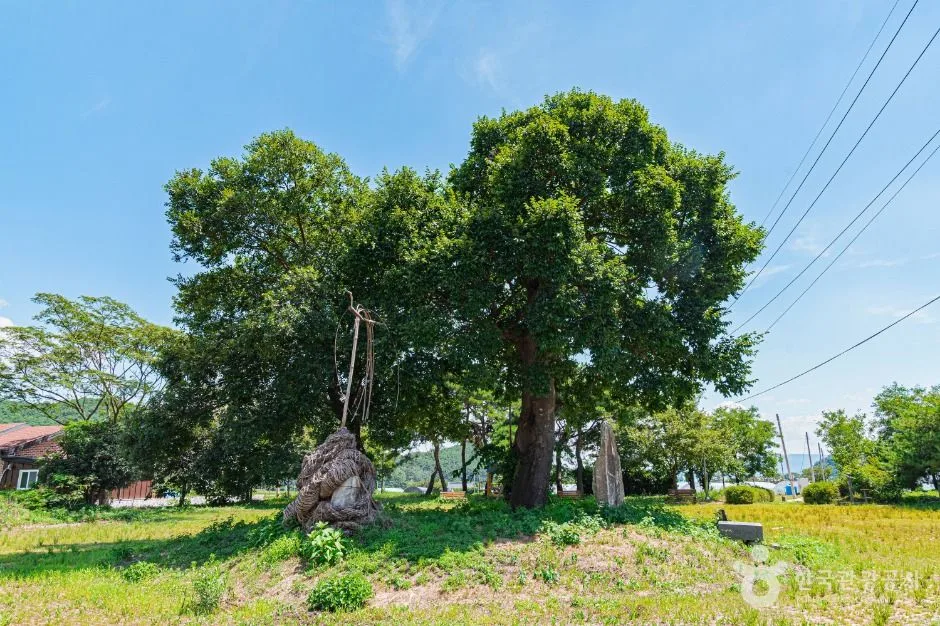 부안_우동리당산 (3)