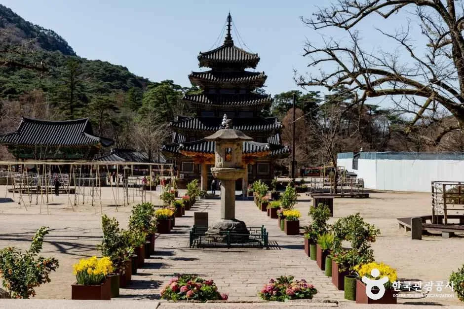 보은 법주사 (5)