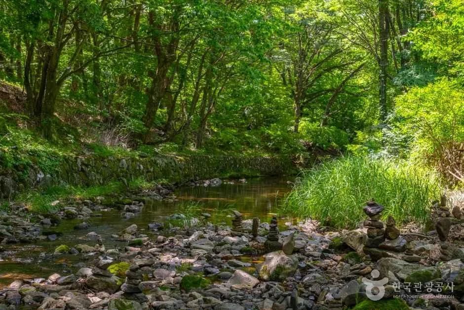 충북_보은_보은 법주사 [유네스코 세계유산]_외부_11.jpg