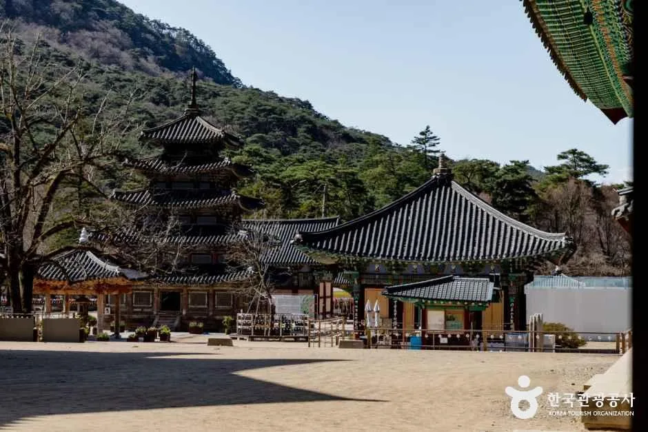 보은 법주사 (2)