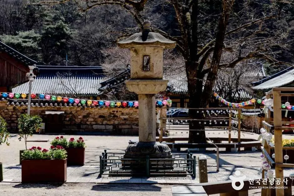 보은 법주사 (3)