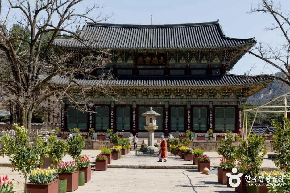 보은 법주사 (4)