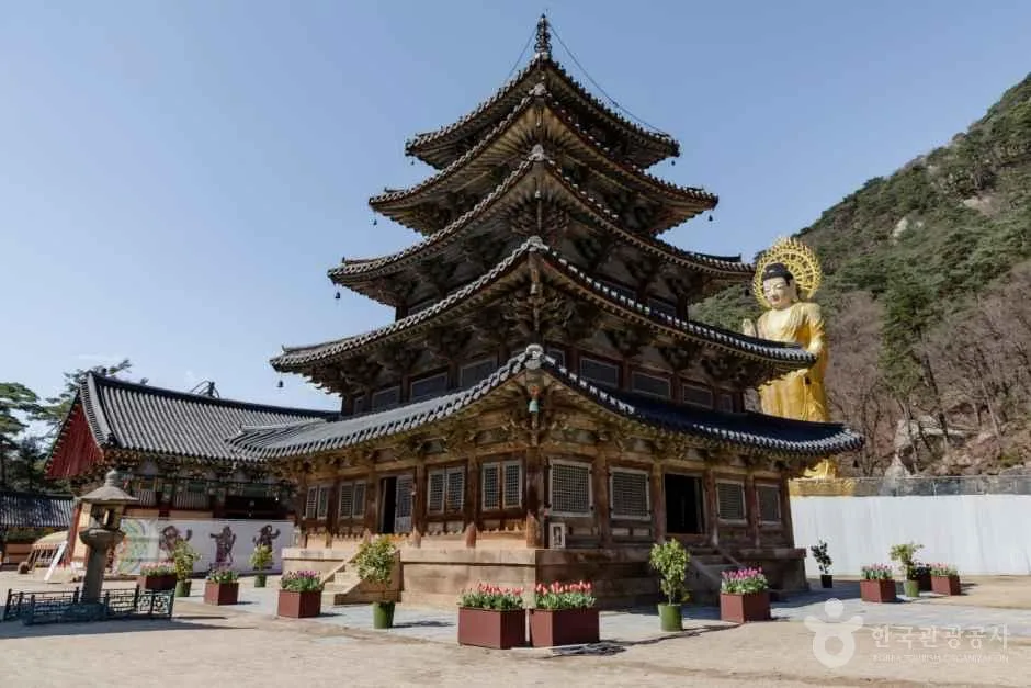 보은 법주사 (1)