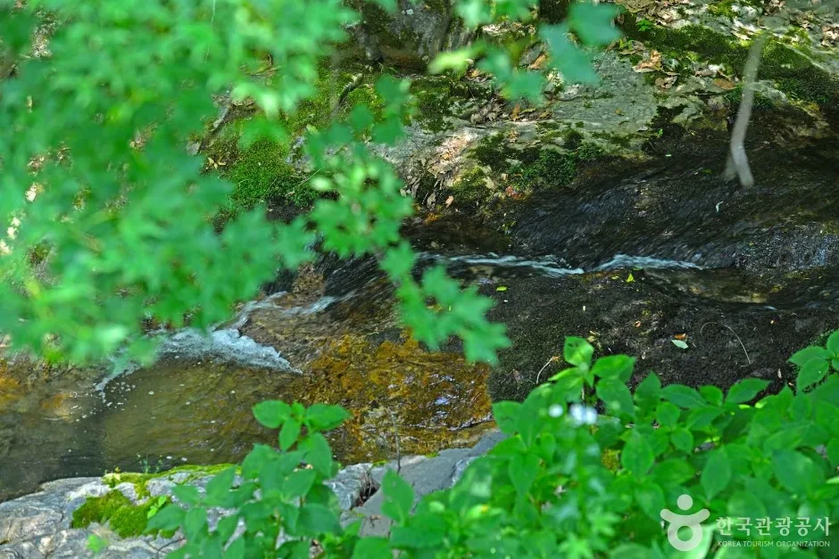 연곡계곡 (5)