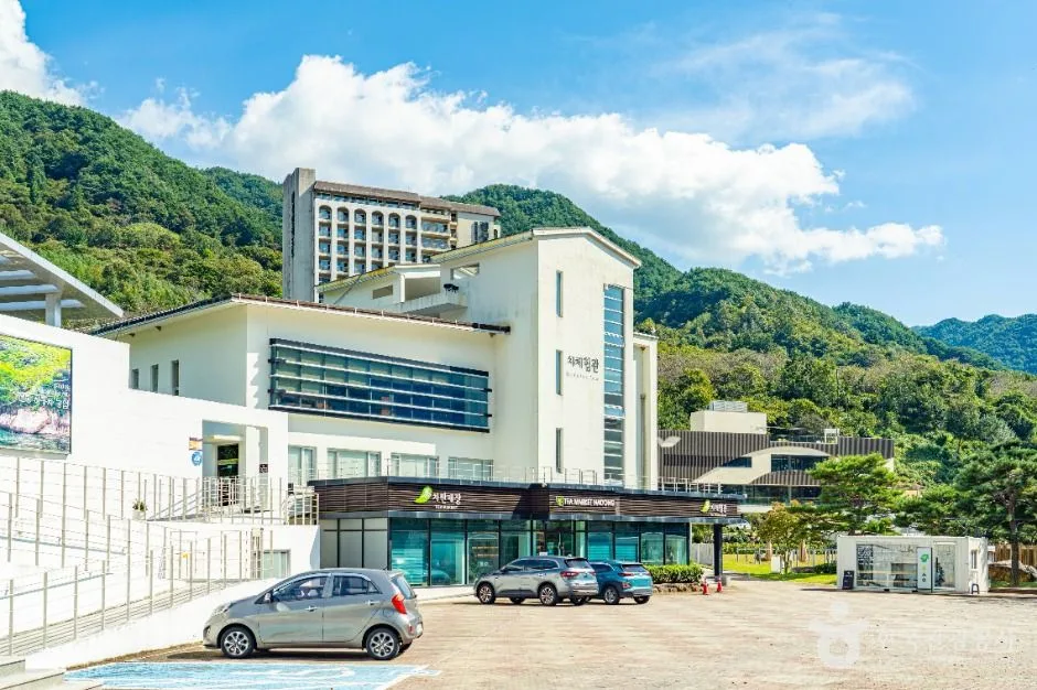 하동_하동야생차박물관 (1)