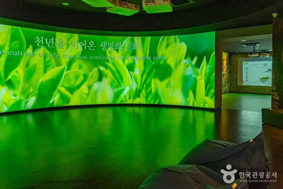 하동_하동야생차박물관 (2)