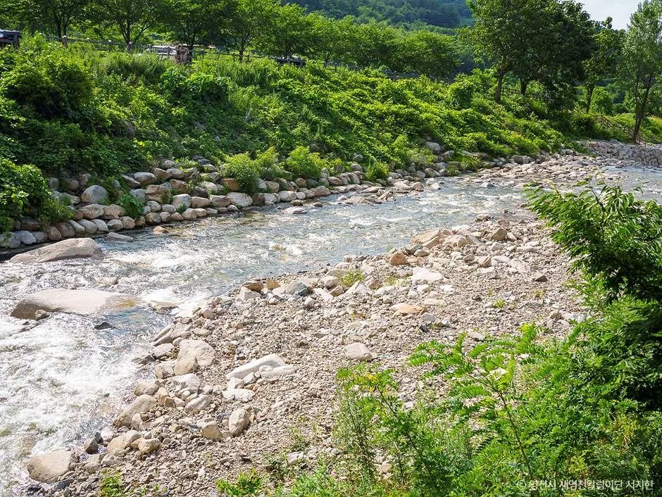 영천_치산계곡 (6)