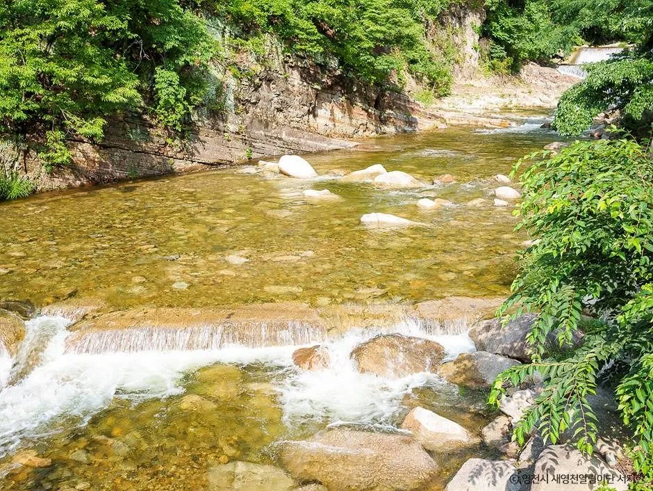 영천_치산계곡 (5)