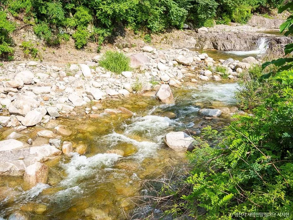 영천_치산계곡 (4)