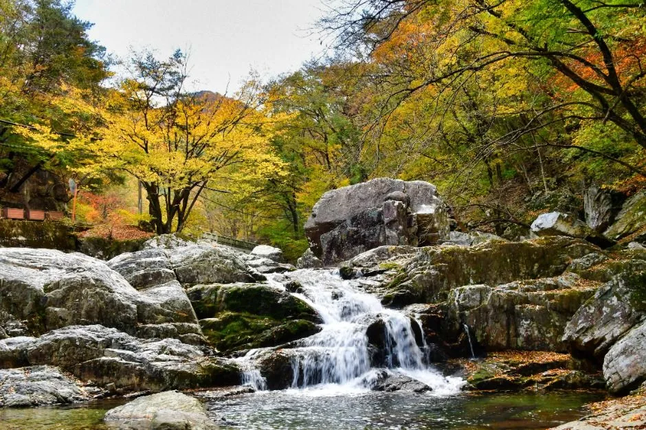 내원사계곡(양산) (6)