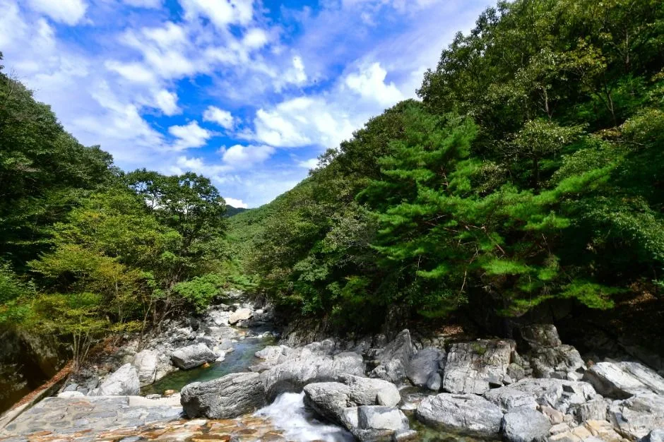내원사계곡(양산) (5)