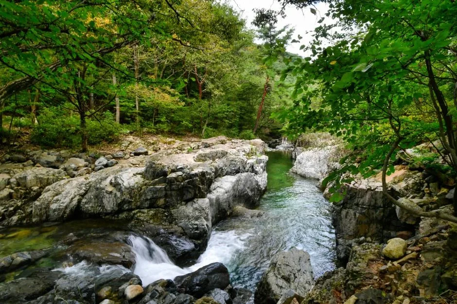 내원사계곡(양산) (4)