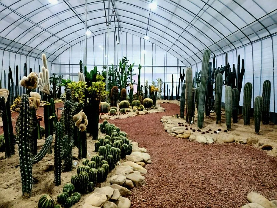 예술정원1999(3)