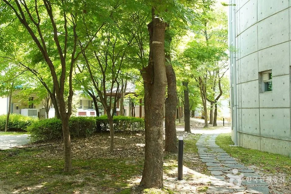 소양도서관 (03)