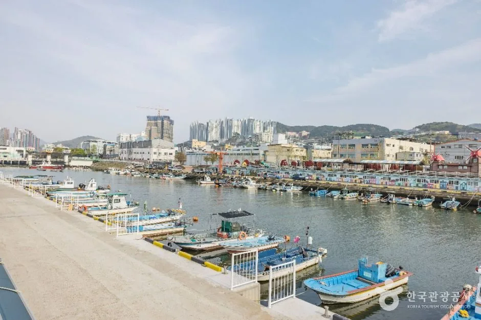 부산_장림포구 (8)