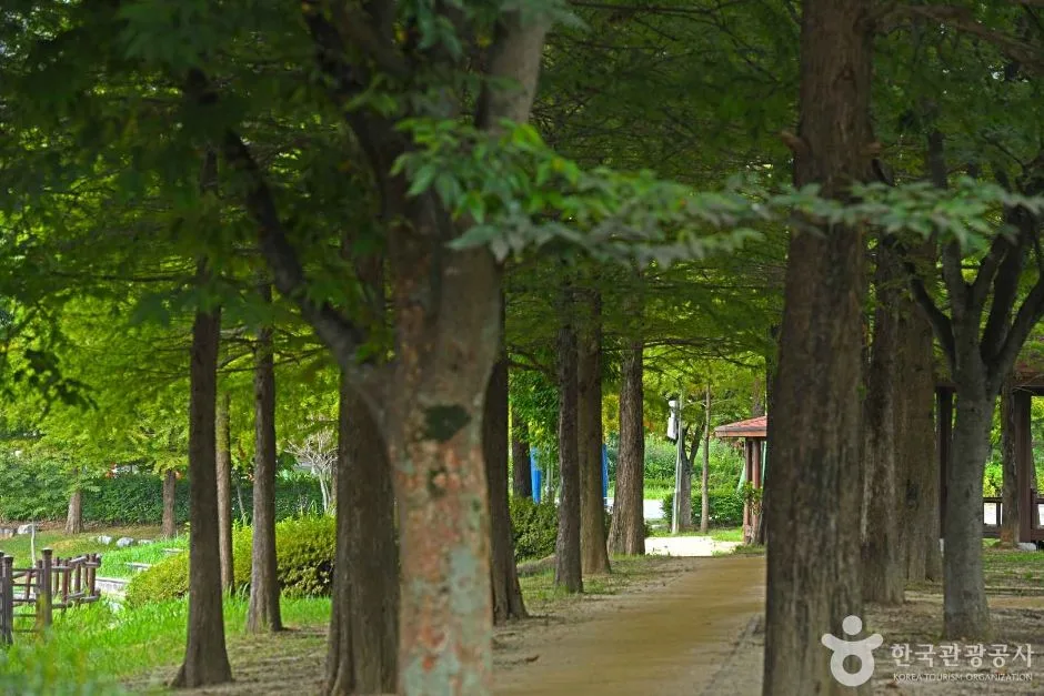 전북_완주_둔산공원 (3)