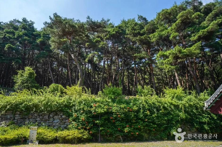달성_남지장사 (6)