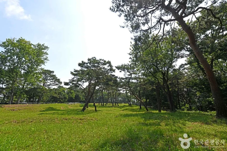 군창지 (6)