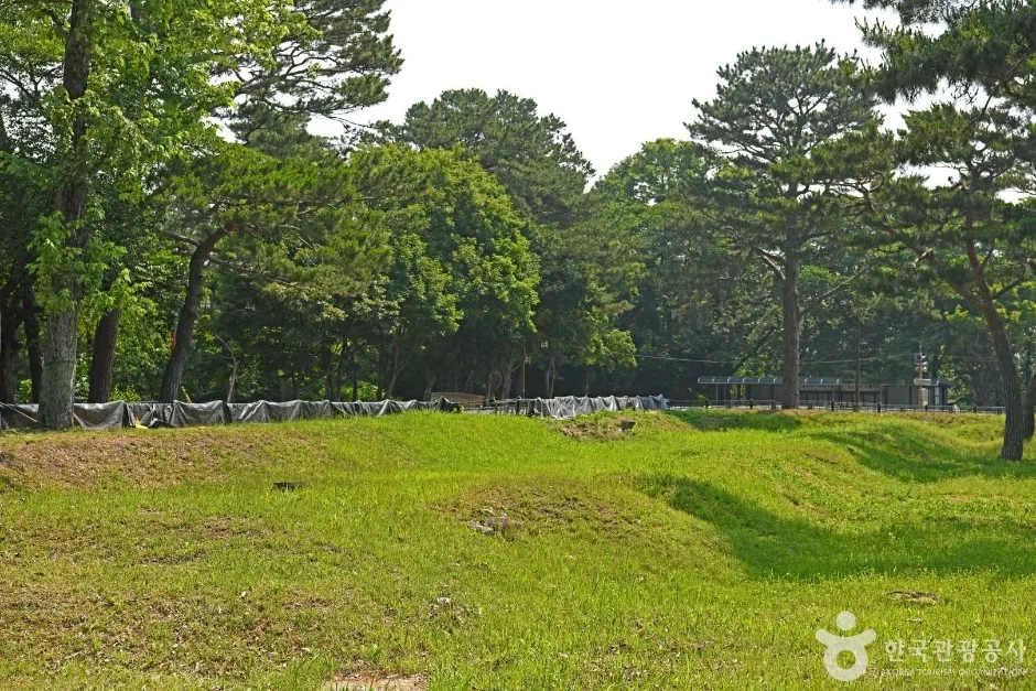 군창지 (5)