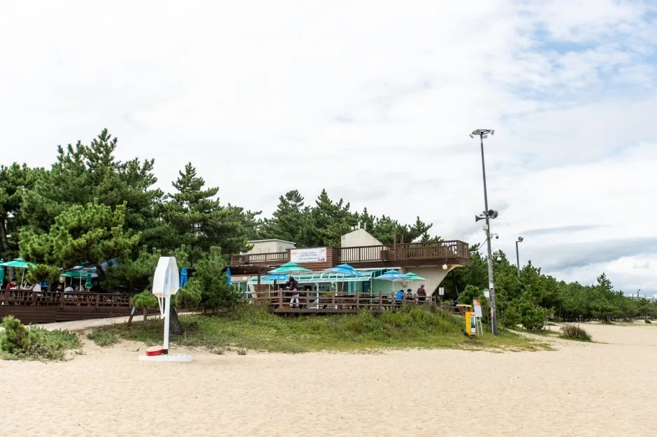 강원_강릉_송정해변(송정해수욕장)07