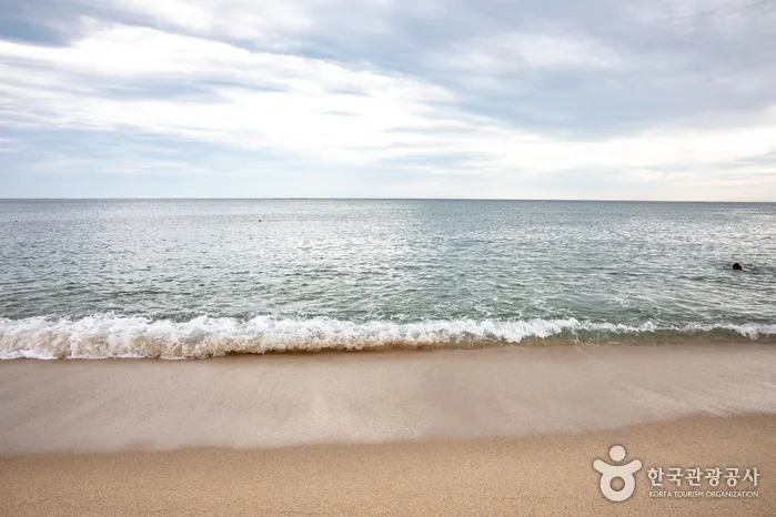 강릉시_송정해변 (4).jpg