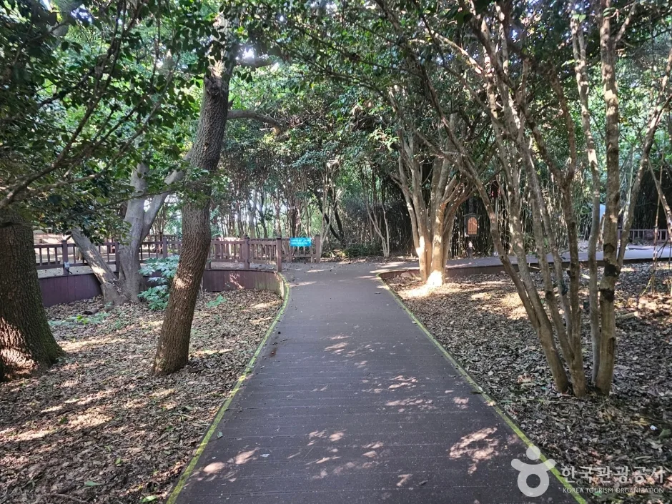 오동도 등대_9