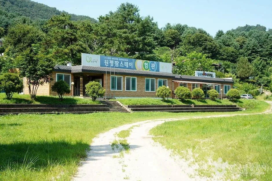 원평 팜스테이 (17)