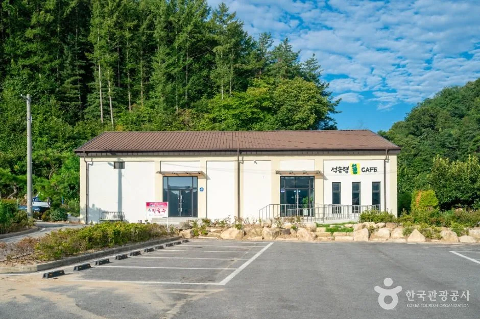 예천_예천 천향리 석송령 (6)