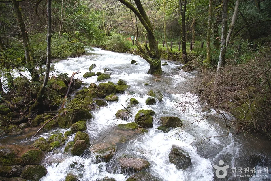 삼척초당굴 (11)