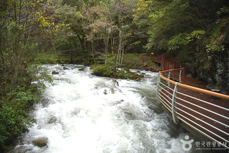 삼척초당굴 (6)