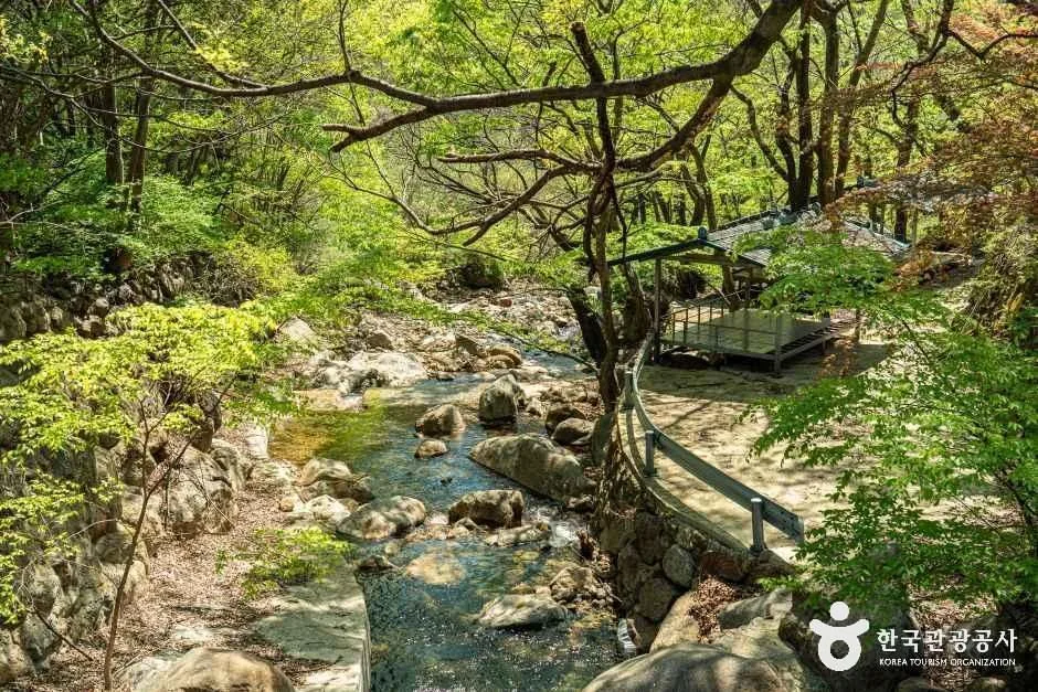 구례_송정마을 (3).jpg