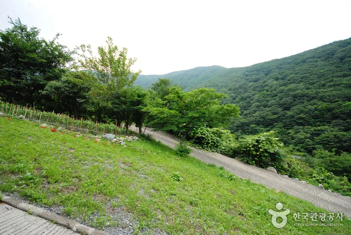 간월산 (5)