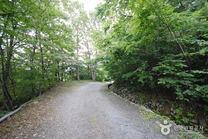 울산_늦가을 낭만의 끝에 서다, 간월재 억새군락지06