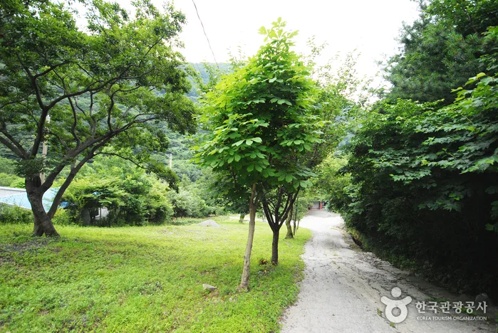 울산_늦가을 낭만의 끝에 서다, 간월재 억새군락지12