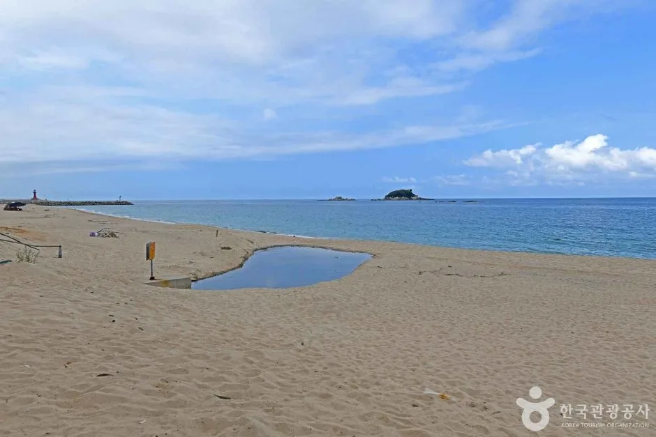 켄싱턴해변 (5)